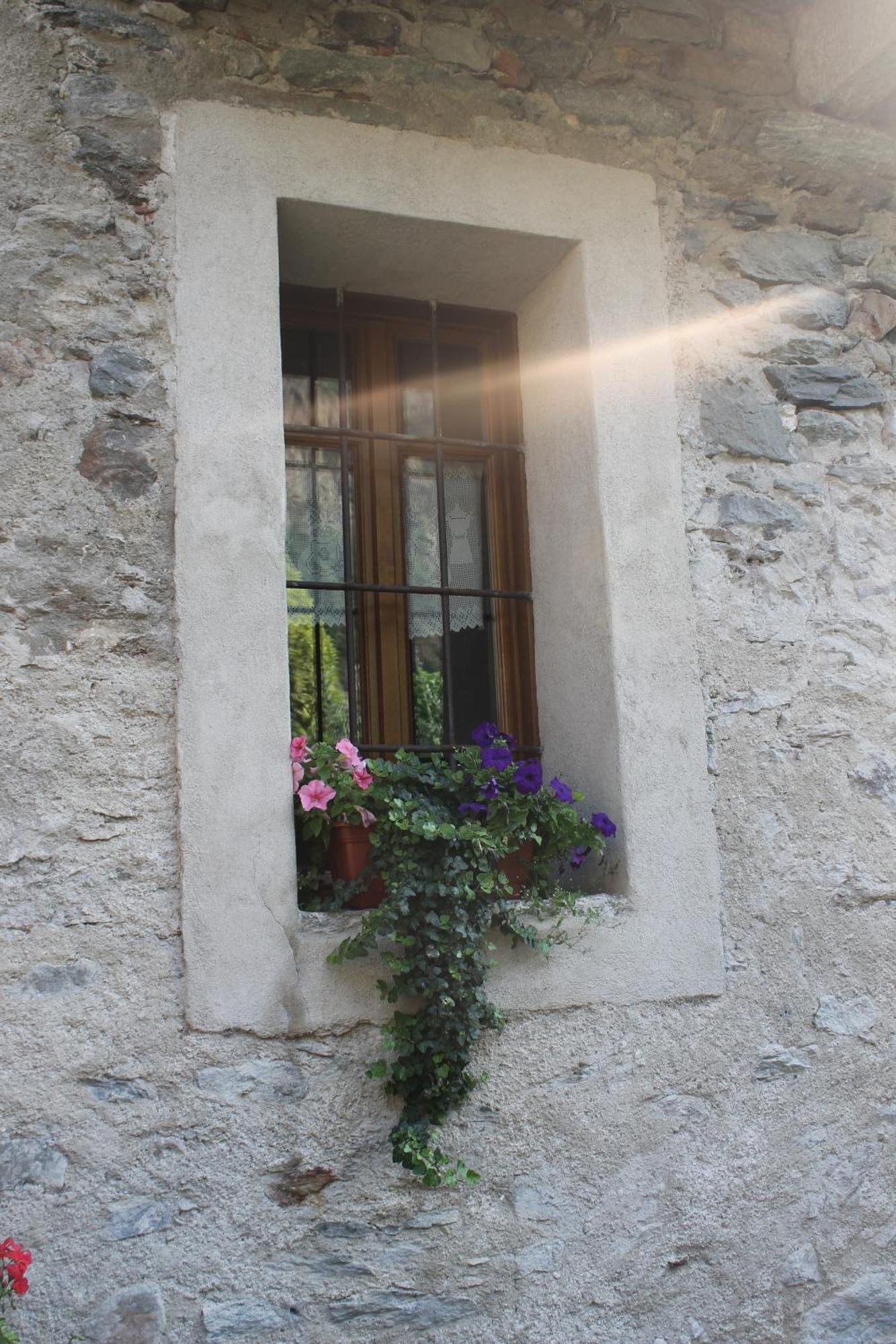 La Maison Des Vignerons Chambres D'Hotes B&B Donnaz Extérieur photo