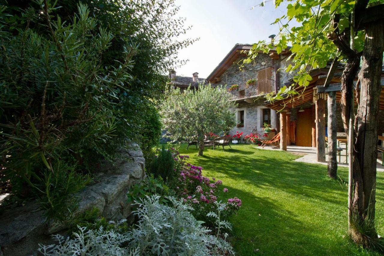 La Maison Des Vignerons Chambres D'Hotes B&B Donnaz Extérieur photo